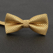 Classic boys pre-tied bow tie with fancy pattern for weddings and parties