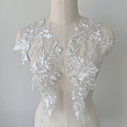 Embroidered Lace Trim Appliqué Pair – DIY Wedding Dresses, Evening Gowns & Clothing Decoration (ZH312)